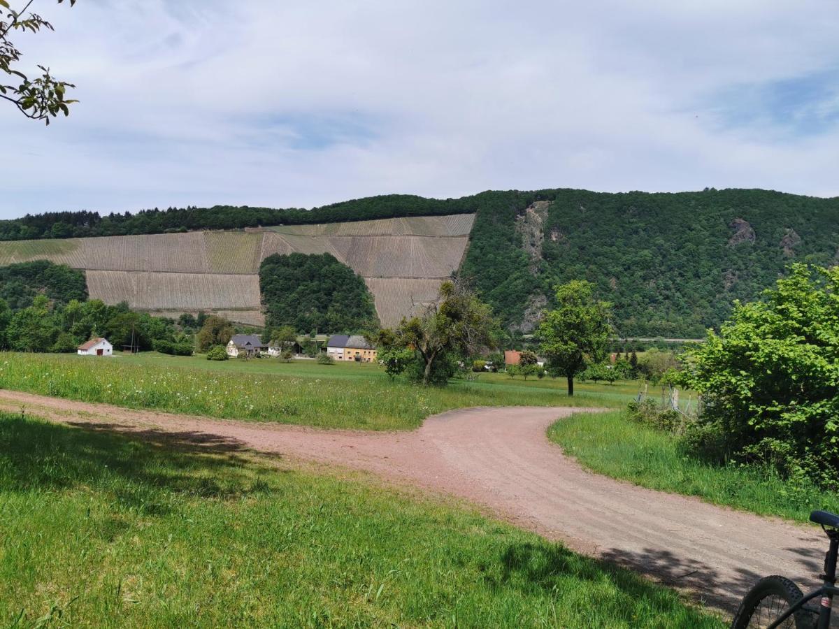 Gemütliche 90 qm Wohnung in Saarburg, zentral gelegen, Garten mit Aussicht, separater Eingang Exterior foto